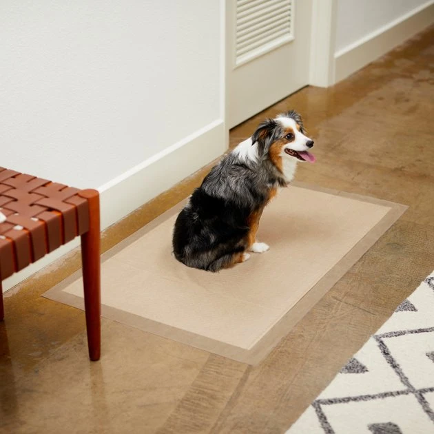 Frisco Giant Eco-Conscious Dog Training & Potty Pads, 27.5 x 44-in, Unscented 7 Frisco Giant Eco-Conscious Dog Training & Potty Pads, 27.5 x 44-in, Unscented - Image 5