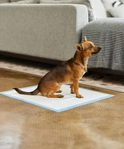 Frisco Non-Skid Ultra Premium Dog Training & Potty Pads, 22 x 23-in -Frisco Sales 2024 227447 PT6. SY630 V1604701029
