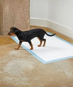Frisco Giant Non-Skid Ultra Premium Dog Training & Potty Pads, 27.5 x 44-in -Frisco Sales 2024 227453 PT6. SY630 V1604701908