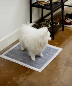 Frisco Charcoal Dog Training & Potty Pads, 22 x 23-in, Unscented -Frisco Sales 2024 227456 PT6. SY630 V1604701986