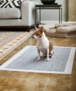 Frisco Giant Charcoal Dog Training & Potty Pads, 27.5 x 44-in, Unscented -Frisco Sales 2024 227462 PT6. SY630 V1604701065