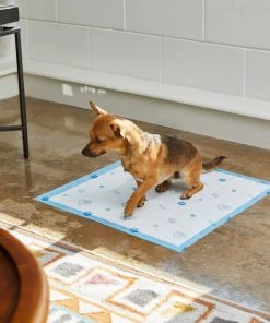 Frisco Printed Dog Training & Potty Pads, 22 x 23-in, Unscented -Frisco Sales 2024 227465 PT6. SY630 V1604701913