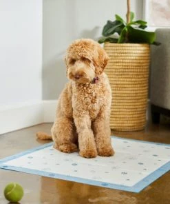 Frisco Extra Large Printed Dog Training & Potty Pads, 28 x 34-in, Unscented -Frisco Sales 2024 227468 PT6. SY630 V1604701633