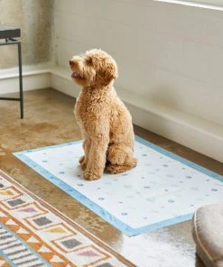 Frisco Giant Printed Dog Training & Potty Pads, 27.5 x 44-in, Unscented -Frisco Sales 2024 227471 PT6. SY630 V1604701622