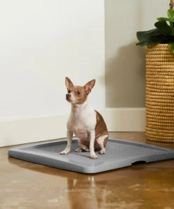 Frisco Training Pad Holder -Frisco Sales 2024 227474 PT6. SY630 V1604701643