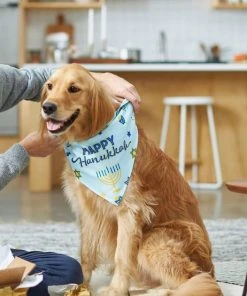 Frisco Happy Hanukkah Dog & Cat Bandana -Frisco Sales 2024 228980 PT5. SY630 V1637684347