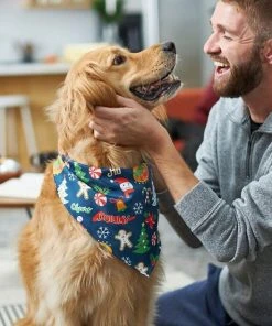 Frisco Holiday & New Years Dog & Cat Bandana, 2 pack 16 Frisco Holiday & New Years Dog & Cat Bandana, 2 pack -Frisco Sales 2024 228983 PT6. SY630 V1637659015