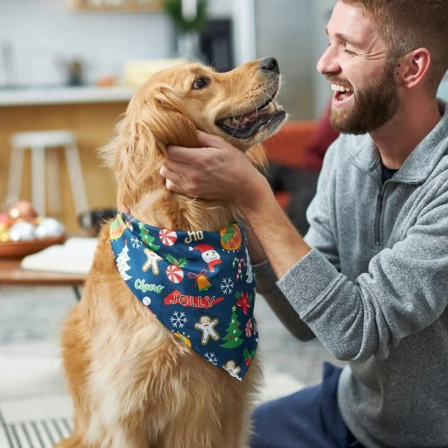 Frisco Holiday & New Years Dog & Cat Bandana, 2 pack 9 Frisco Holiday & New Years Dog & Cat Bandana, 2 pack - Image 7