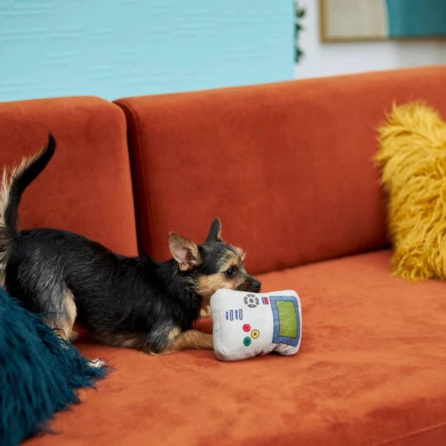 Frisco Retro Game On Plush Squeaky Dog Toy Frisco Retro Game On Plush Squeaky Dog Toy -Frisco Sales 2024 230290 PT3. SY630 V1601946967