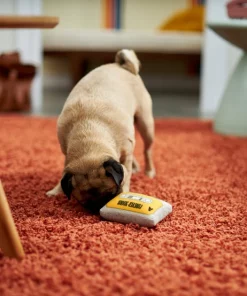 Frisco Retro Cassette Dense Foam Squeaky Dog Toy 7 Frisco Retro Cassette Dense Foam Squeaky Dog Toy -Frisco Sales 2024 230296 PT3. SY630 V1601946962