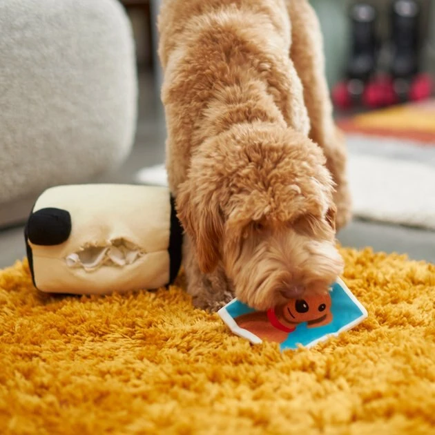 Frisco Retro 2-in-1 Camera Plush Squeaky Dog Toy Frisco Retro 2-in-1 Camera Plush Squeaky Dog Toy -Frisco Sales 2024 230306 PT3. SY630 V1602639779