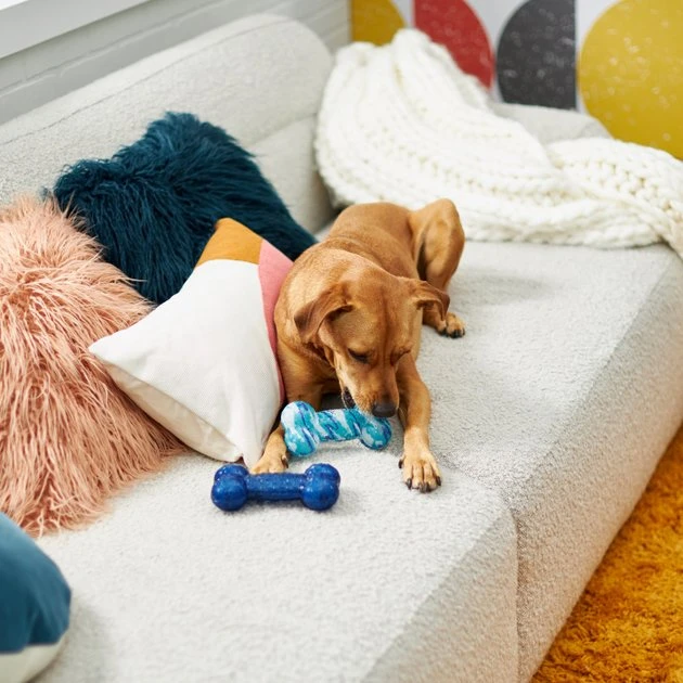 Frisco Retro Denim & Swirl Bone TPR Squeaky Dog Toy 5 Frisco Retro Denim & Swirl Bone TPR Squeaky Dog Toy - Image 3