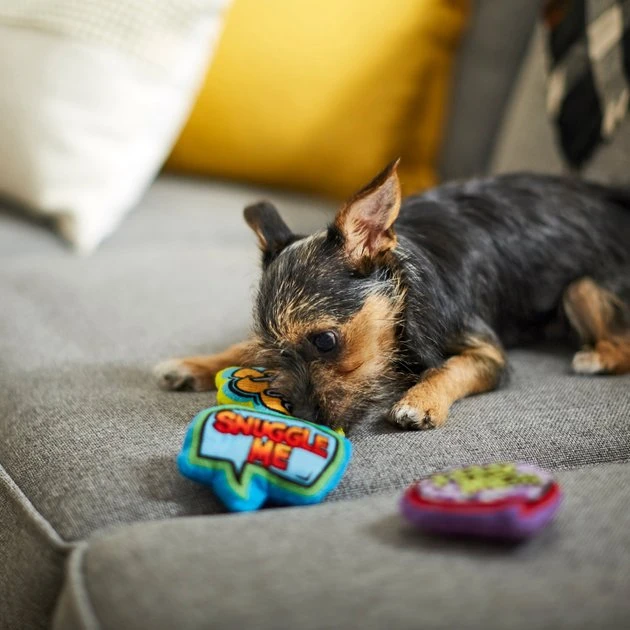 Frisco Retro Plush Squeaky Comic Book Bubble Dog Toy, 3 count Frisco Retro Plush Squeaky Comic Book Bubble Dog Toy, 3 count -Frisco Sales 2024 230353 PT3. SY630 V1600973826