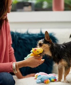 Frisco Retro Colorful Pony Plush Squeaky Dog Toy -Frisco Sales 2024 230357 PT3. SY630 V1601947361