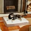 Frisco Orthopedic Pillow Cat & Dog Bed 1 Frisco Orthopedic Pillow Cat & Dog Bed -Frisco Sales 2024 230709 MAIN. SY630 V1602689222