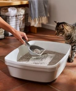 Frisco Lightweight Unscented Clumping Cat Litter -Frisco Sales 2024 230716 PT4. SY630 V1659023918