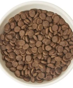 Frisco Double-Sided Ceramic Elevated Cat Bowl, 1.25 cups -Frisco Sales 2024 232081 PT3. SY630 V1605145964