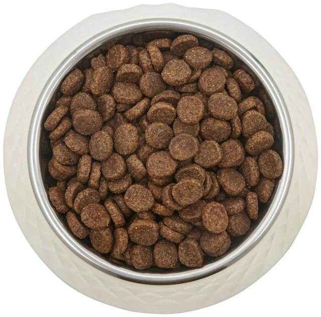Frisco Hammered Melamine Stainless Steel Dog Bowl, 0.75 Cup Frisco Hammered Melamine Stainless Steel Dog Bowl -Frisco Sales 2024 232083 PT3. SY630 V1609885089