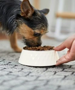 Frisco Hammered Melamine Stainless Steel Dog Bowl 7 Frisco Hammered Melamine Stainless Steel Dog Bowl -Frisco Sales 2024 232083 PT8. SY630 V1605753745