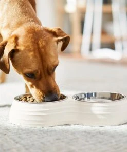 Frisco Stainless Steel Double Dog Bowls with Melamine Stand -Frisco Sales 2024 232091 PT8. SY630 V1605738450