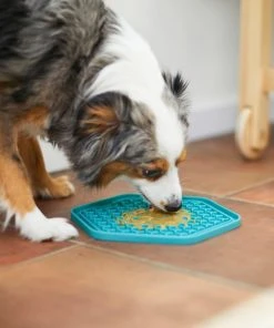 Frisco Silicone Treat Lick Mat, 2 Count 14 Frisco Silicone Treat Lick Mat, 2 Count -Frisco Sales 2024 232099 PT7. SY630 V1605739324