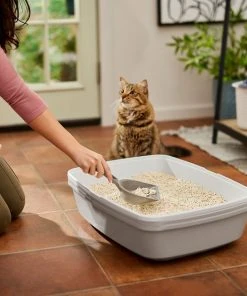 Frisco Tofu Clumping Cat Litter -Frisco Sales 2024 232117 PT4. SY630 V1659546420