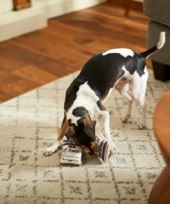 Frisco Ballot Box Hide-and-Seek Puzzle Dog Toy Refill, 3 count -Frisco Sales 2024 233571 PT3. SY630 V1600973757