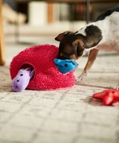 Frisco Hide & Seek Plush Coral Puzzle Dog Toy -Frisco Sales 2024 233595 PT3. SY630 V1600973820
