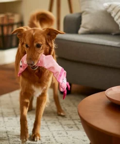 Frisco Flamingo Firehose Squeaky Dog Toy 4 Frisco Flamingo Firehose Squeaky Dog Toy -Frisco Sales 2024 233609 PT3. SY630 V1600974084