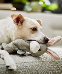Frisco Bungee Plush Squeaky Bunny Dog Toy -Frisco Sales 2024 233612 PT3. SY630 V1600974360