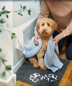 Frisco Microfiber Chenille Paw Print Dog & Cat Mat, Dark Gray 11 Frisco Microfiber Chenille Paw Print Dog & Cat Mat, Dark Gray -Frisco Sales 2024 235893 PT6. SY630 V1606833188