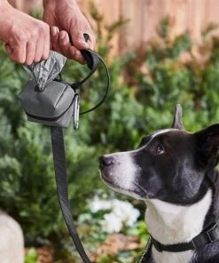 Frisco Large Size Dog Poop Bags with Fabric Dispenser, 30 count -Frisco Sales 2024 237013 PT6. SY630 V1610762789