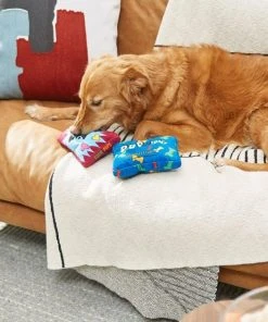 Frisco Zoomies & Chill Candy Plush Squeaky Dog Toy, 2 count -Frisco Sales 2024 241687 PT6. SY630 V1610768450