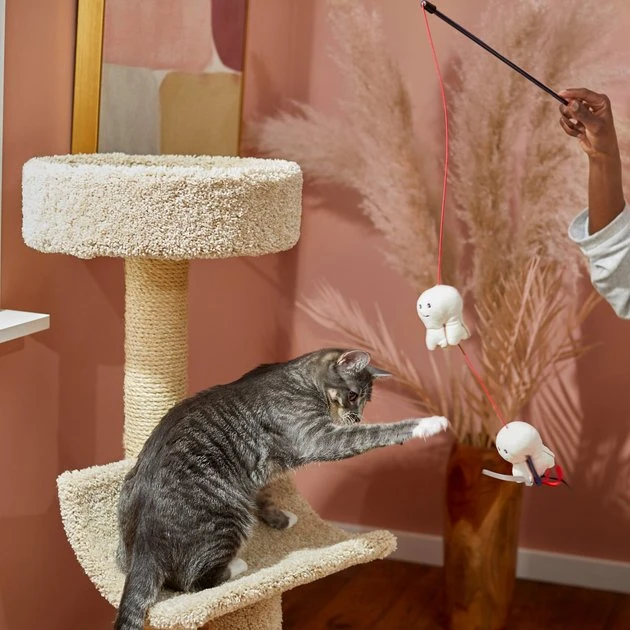 Frisco Zoomies & Chill Popcorn Teaser Cat Toy 5 Frisco Zoomies & Chill Popcorn Teaser Cat Toy - Image 3