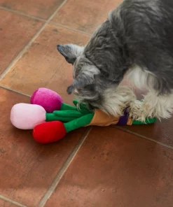 Frisco Rose Bouquet Plush Squeaky Dog Toy 7 Frisco Rose Bouquet Plush Squeaky Dog Toy -Frisco Sales 2024 241733 PT6. SY630 V1607990908