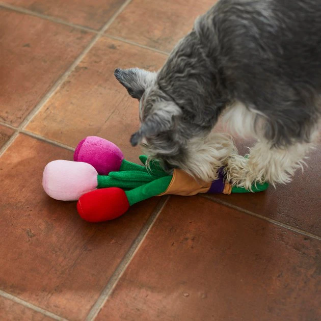 Frisco Rose Bouquet Plush Squeaky Dog Toy 5 Frisco Rose Bouquet Plush Squeaky Dog Toy - Image 3