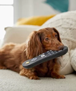 Frisco Zoomies & Chill Remote Latex Squeaky Dog Toy -Frisco Sales 2024 241753 PT6. SY630 V1610768496