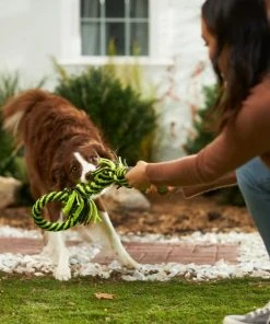 Frisco Dual Handle Neon Rope Squeaky Dog Toy, Yellow & Gray -Frisco Sales 2024 242129 PT2. SY630 V1605208706