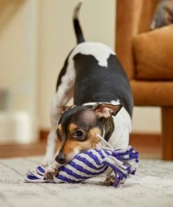 Frisco Flat Rope Squeaky Dog Toy, Purple & Gray -Frisco Sales 2024 242133 PT2. SY630 V1605208701