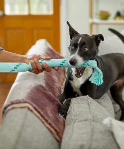 Frisco Double Fun Rope Squeaky Crinkle Dog Toy, Light Blue -Frisco Sales 2024 242137 PT2. SY630 V1605208750