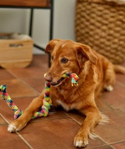 Frisco 4-Knot Tri-Color Rope Dog Toy 7 Frisco 4-Knot Tri-Color Rope Dog Toy -Frisco Sales 2024 242139 PT2. SY630 V1605208764