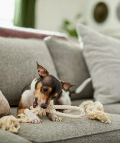 Frisco Double Knot Cotton Rope Dog Toy, 2 count -Frisco Sales 2024 242155 PT2. SY630 V1605208728