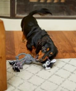 Frisco Zebra Rope Squeaky Dog Toy 7 Frisco Zebra Rope Squeaky Dog Toy -Frisco Sales 2024 242163 PT2. SY630 V1609336949