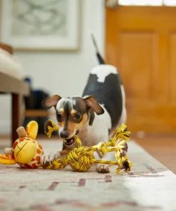 Frisco Giraffe Rope Squeaky Dog Toy -Frisco Sales 2024 242165 PT2. SY630 V1609336966