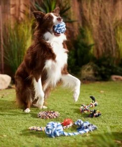 Frisco Rope Multipack for Medium Dog Toys, 5 count 7 Frisco Rope Multipack for Medium Dog Toys, 5 count -Frisco Sales 2024 243978 PT2. SY630 V1635439307