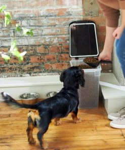 Frisco Airtight Food Storage Container, Clear/Black -Frisco Sales 2024 245804 PT8. SY630 V1608850956