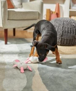 Frisco Bunny Plush Multipack Puppy Toy, 2 count 7 Frisco Bunny Plush Multipack Puppy Toy, 2 count -Frisco Sales 2024 245916 PT2. SY630 V1607371940