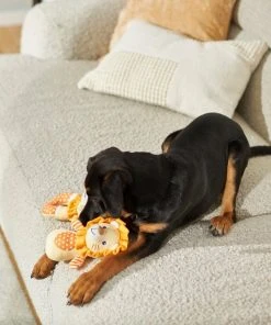 Frisco Lion Plush Multipack Puppy Toy, 2 count 7 Frisco Lion Plush Multipack Puppy Toy, 2 count -Frisco Sales 2024 245918 PT2. SY630 V1607372049