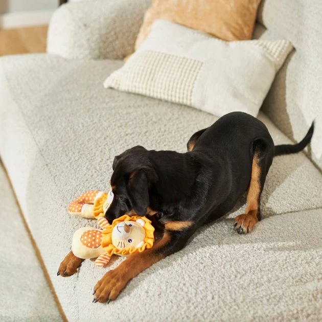 Frisco Lion Plush Multipack Puppy Toy, 2 count 5 Frisco Lion Plush Multipack Puppy Toy, 2 count - Image 3