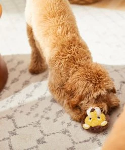 Frisco Lion Plush Squeaky Dog Toy -Frisco Sales 2024 245926 PT2. SY630 V1607372008